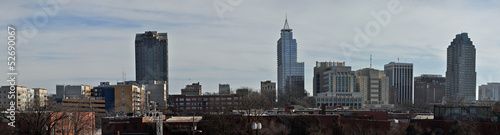 Grunge Raleigh Skyline Panorama