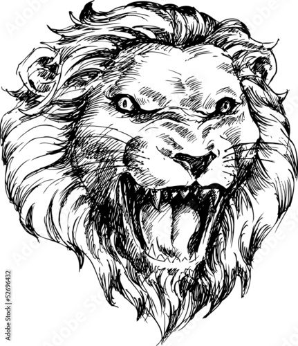 Fototapeta Naklejka Na Ścianę i Meble -  lion head hand drawn