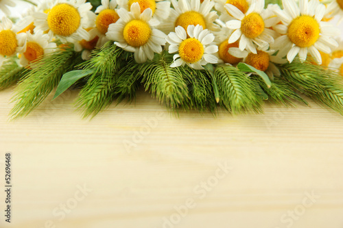 Green spikelets and wild camomiles, on wooden background