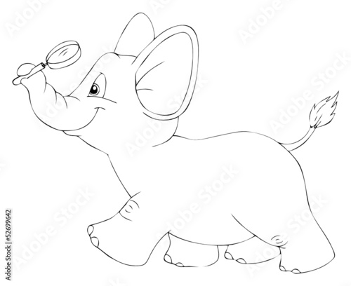 Elefant, Lupe