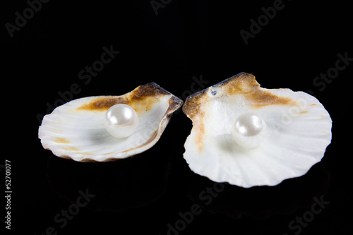 seashell with pearl on black background