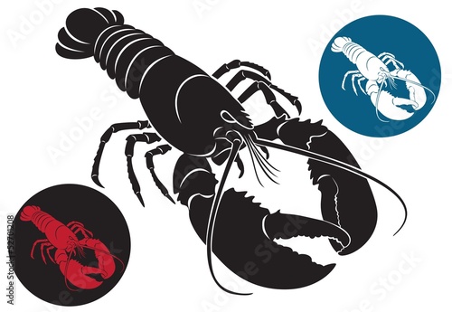lobster