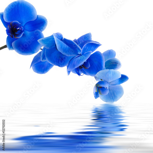 Fototapeta Naklejka Na Ścianę i Meble -  ramo de orquídea y reflejo en el agua