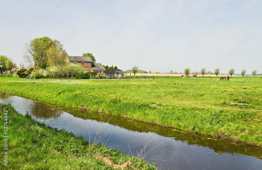 Dutch countrylandscape wirh farms and grazing horses Dutch countrylandscape wirh farms and grazing horses