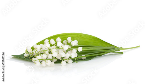 Fototapeta Naklejka Na Ścianę i Meble -  Lily of the valley