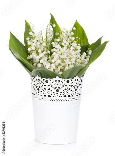Fototapeta Naklejka Na Ścianę i Meble -  Lily of the valley