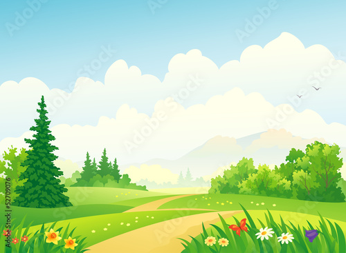 Forest landscape