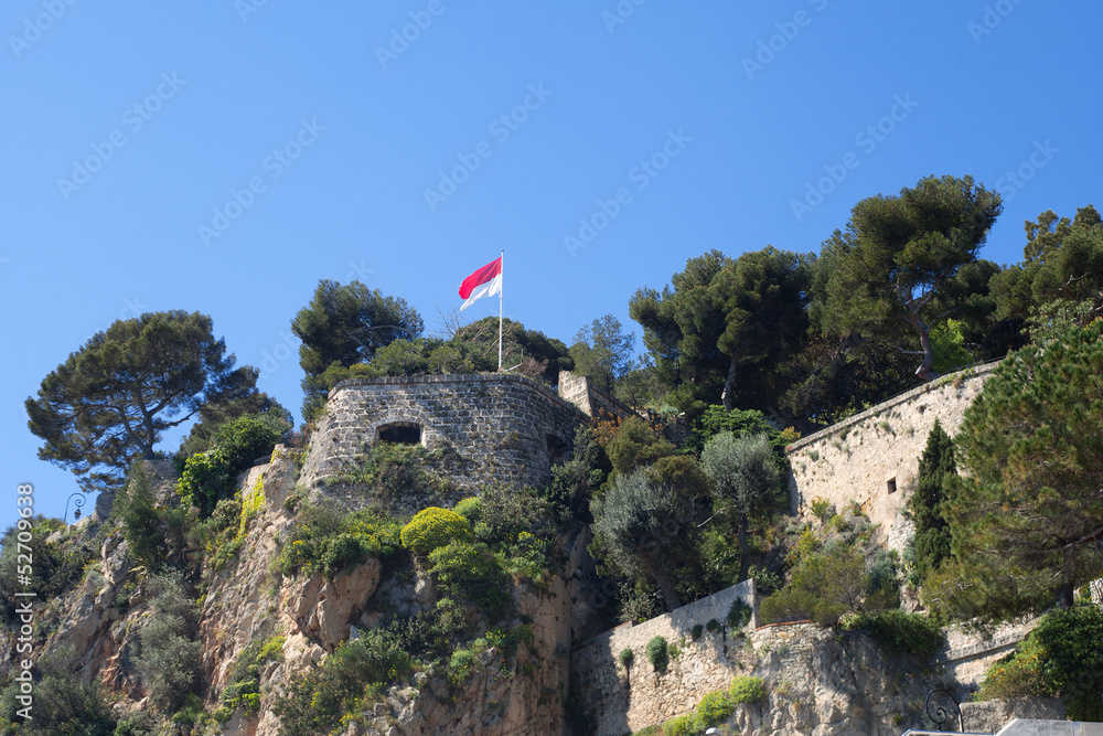 Naklejka premium Monaco flag.