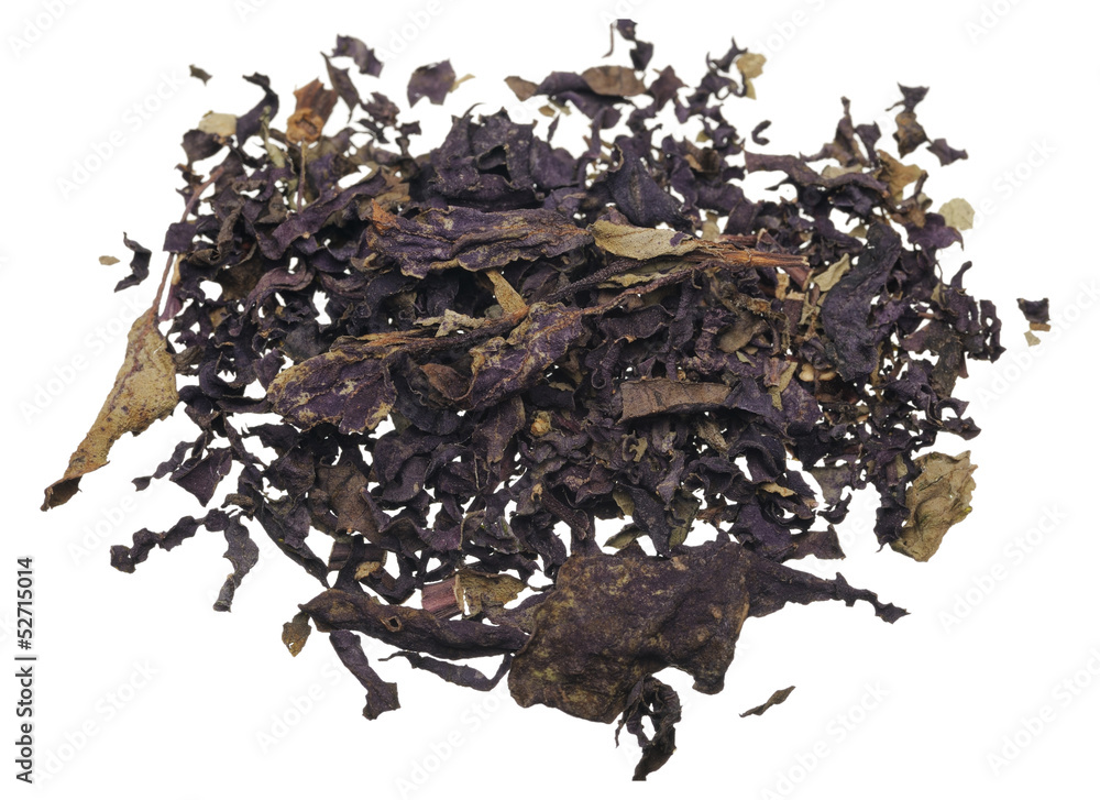 Fototapeta premium Basil