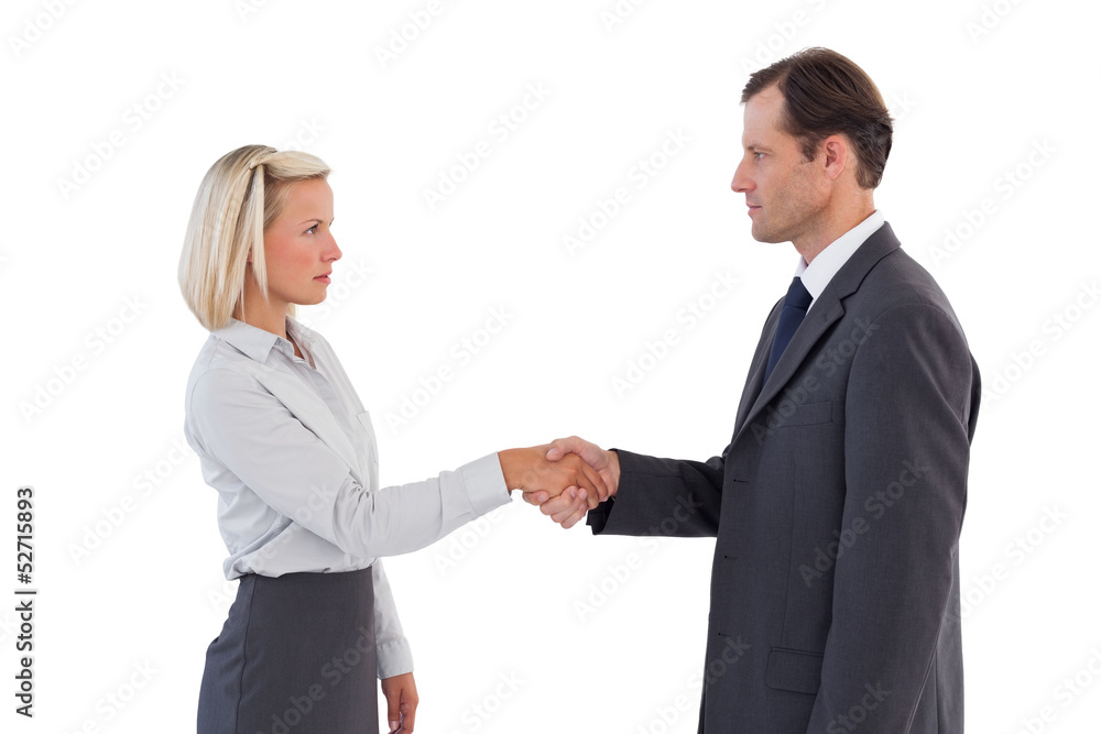 Serious business people shaking hands Serious business people shaking hands