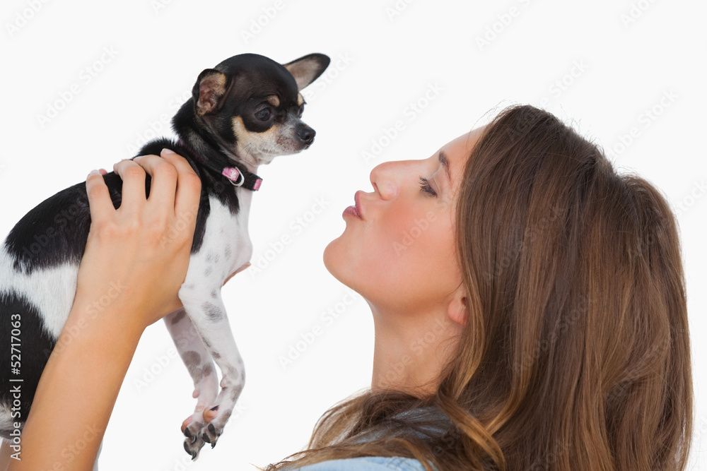 Happy woman looking at her chihuahua