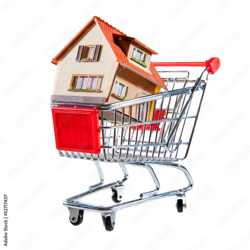 shopping cart and house shopping cart and house