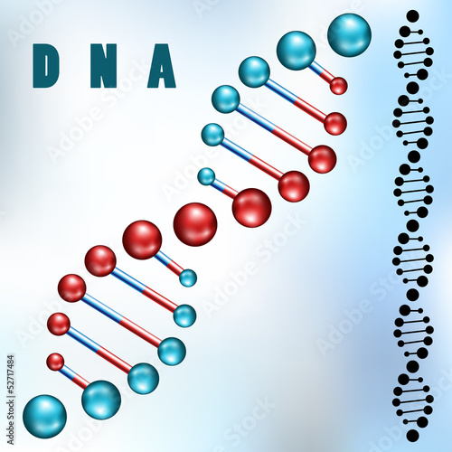 Dna strand