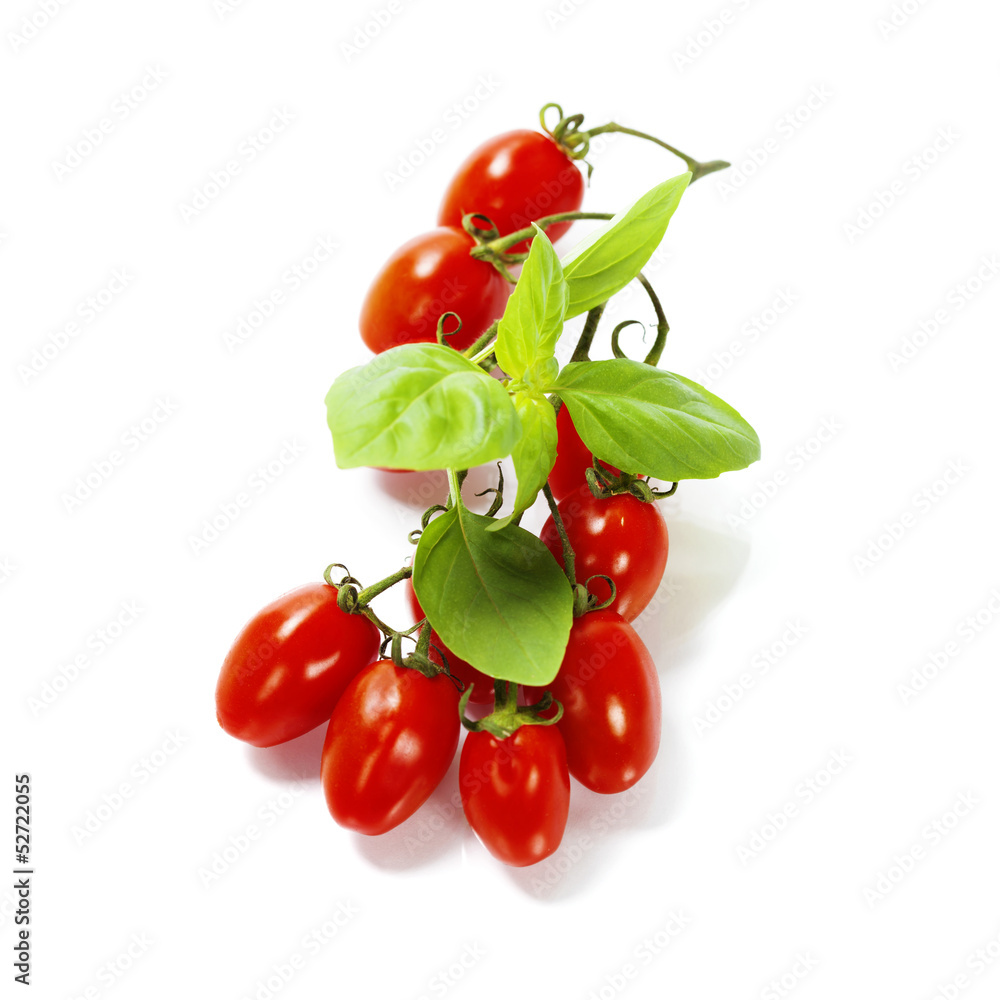 fresh tomatoes fresh tomatoes