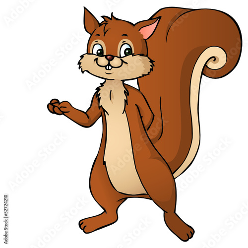 Eichhörnchen