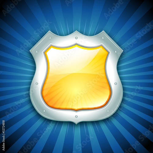 Security Protection Shield Icon