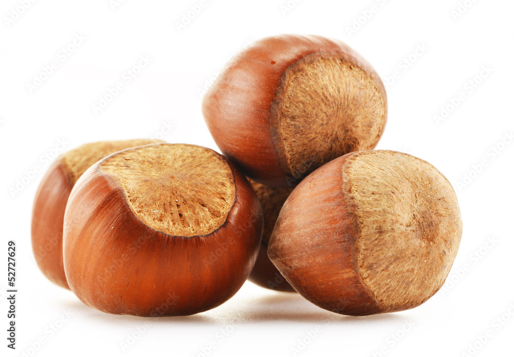 Composition with hazelnuts isolated on white Composition with hazelnuts isolated on white