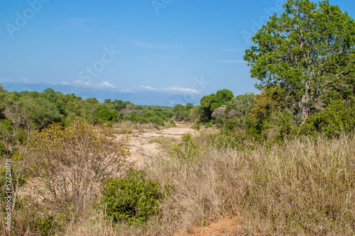 south african landscape in UAR  Kruger s park