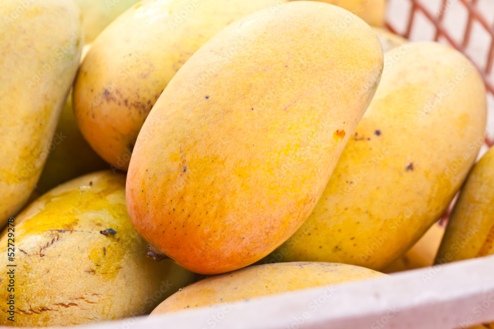 mango from garden mango from garden