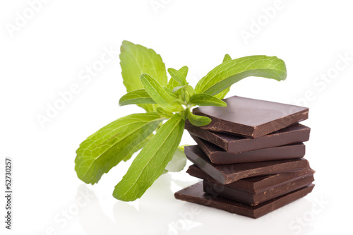 stevia as ingredient for chocolate bar