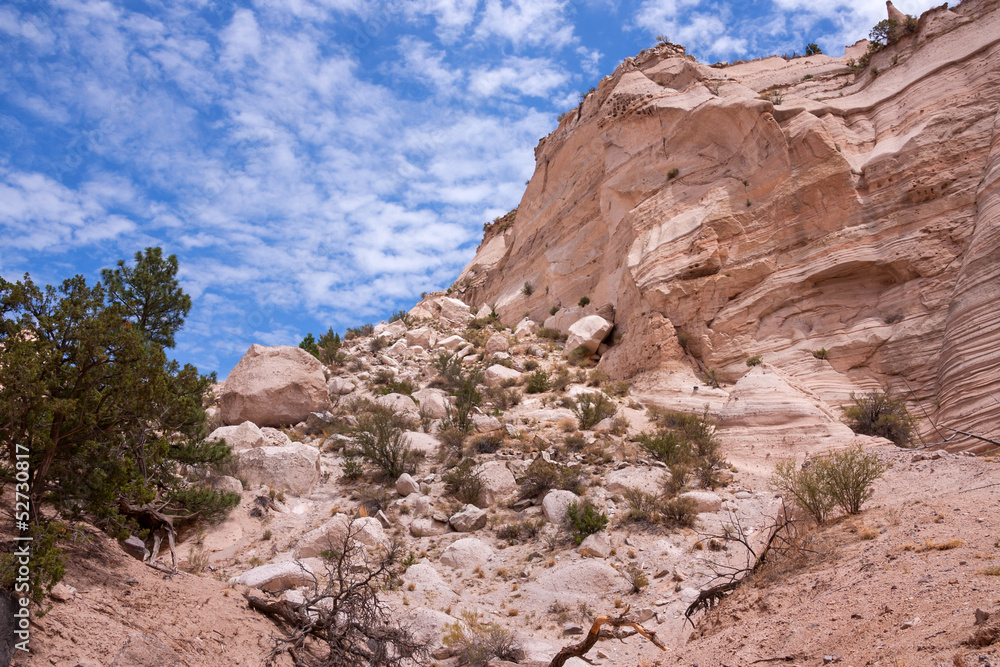 Fototapeta premium More treasures of New Mexico