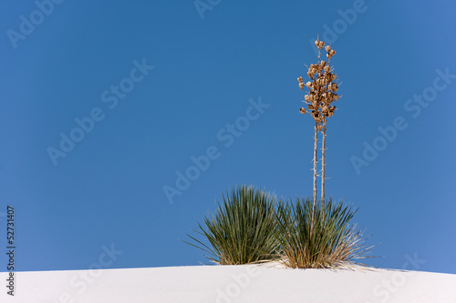 More treasures of New Mexico