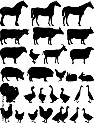Silhouettes of farm animals