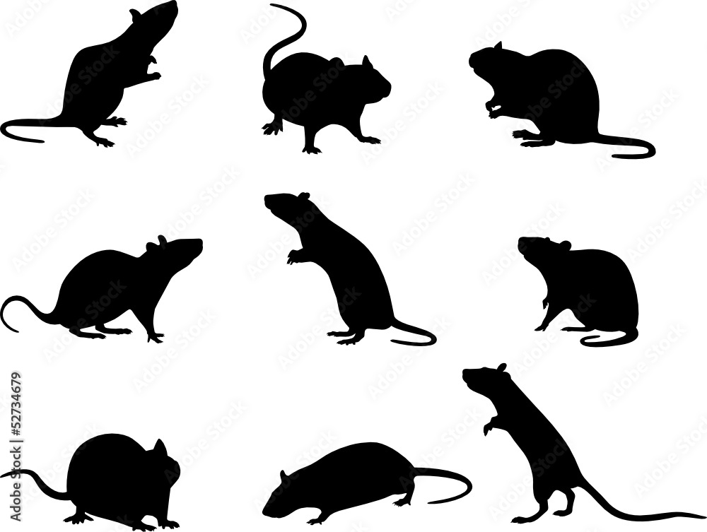 Silhouettes of rats Stock Vector | Adobe Stock