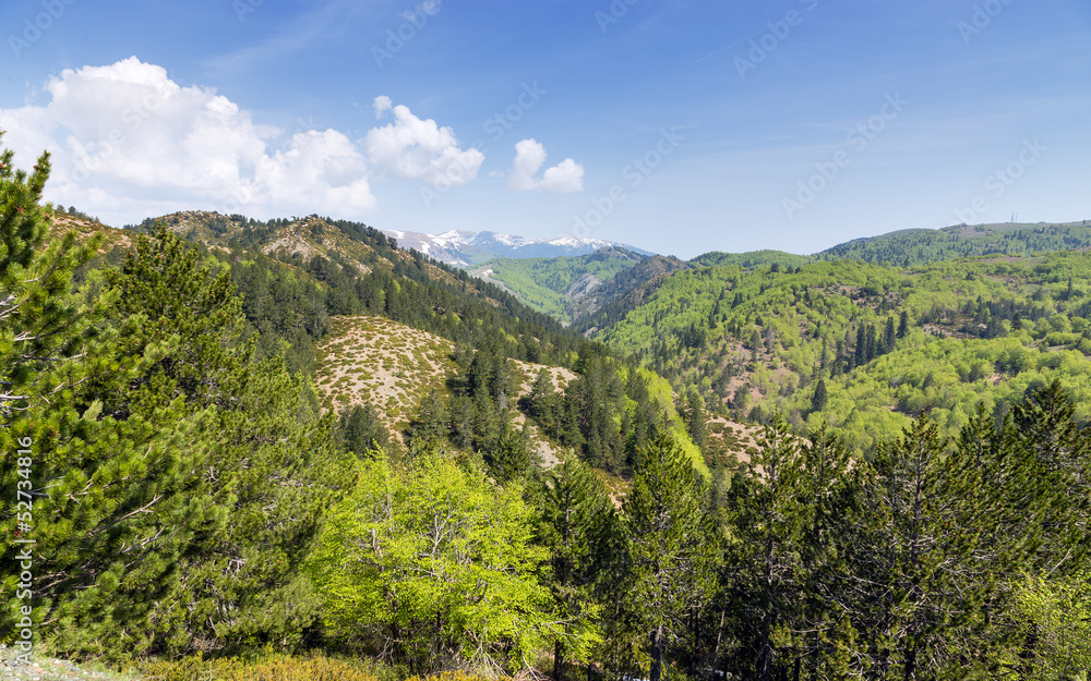 Landscape in Pindus mountains (1600m), Epirus, Greece