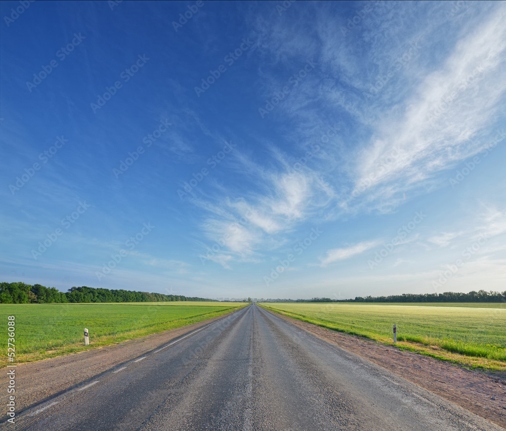 asphalted road