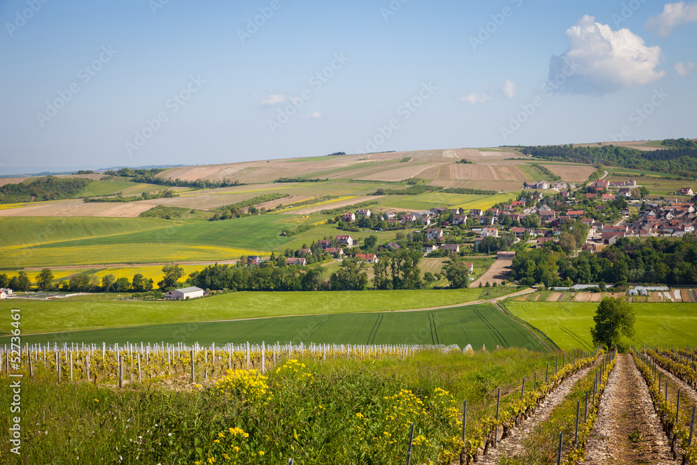 Naklejka premium Saint bris le vineux