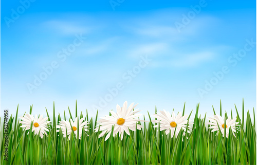 Nature background with green grass and flowers and blue sky. Vec