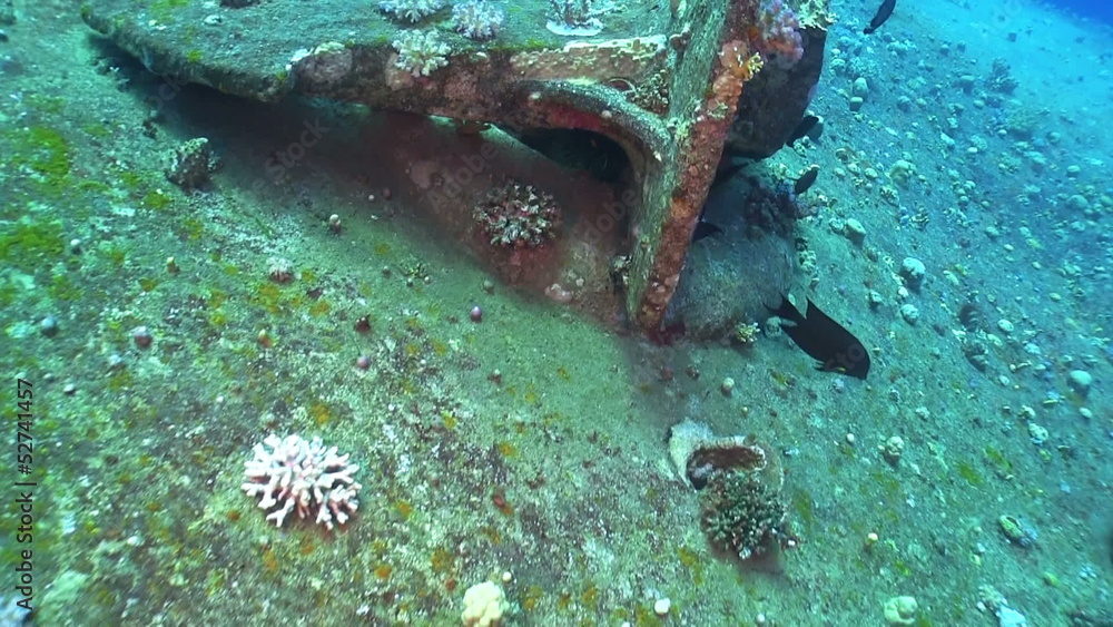 Shipwreck Salem Express in Red Sea, bottom of the sea Shipwreck Salem Express in Red Sea, bottom of the sea