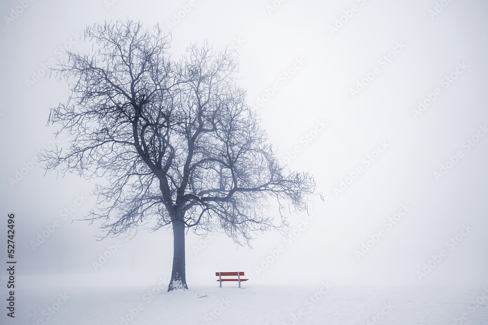 Winter tree in fog - obrazy, fototapety, plakaty 