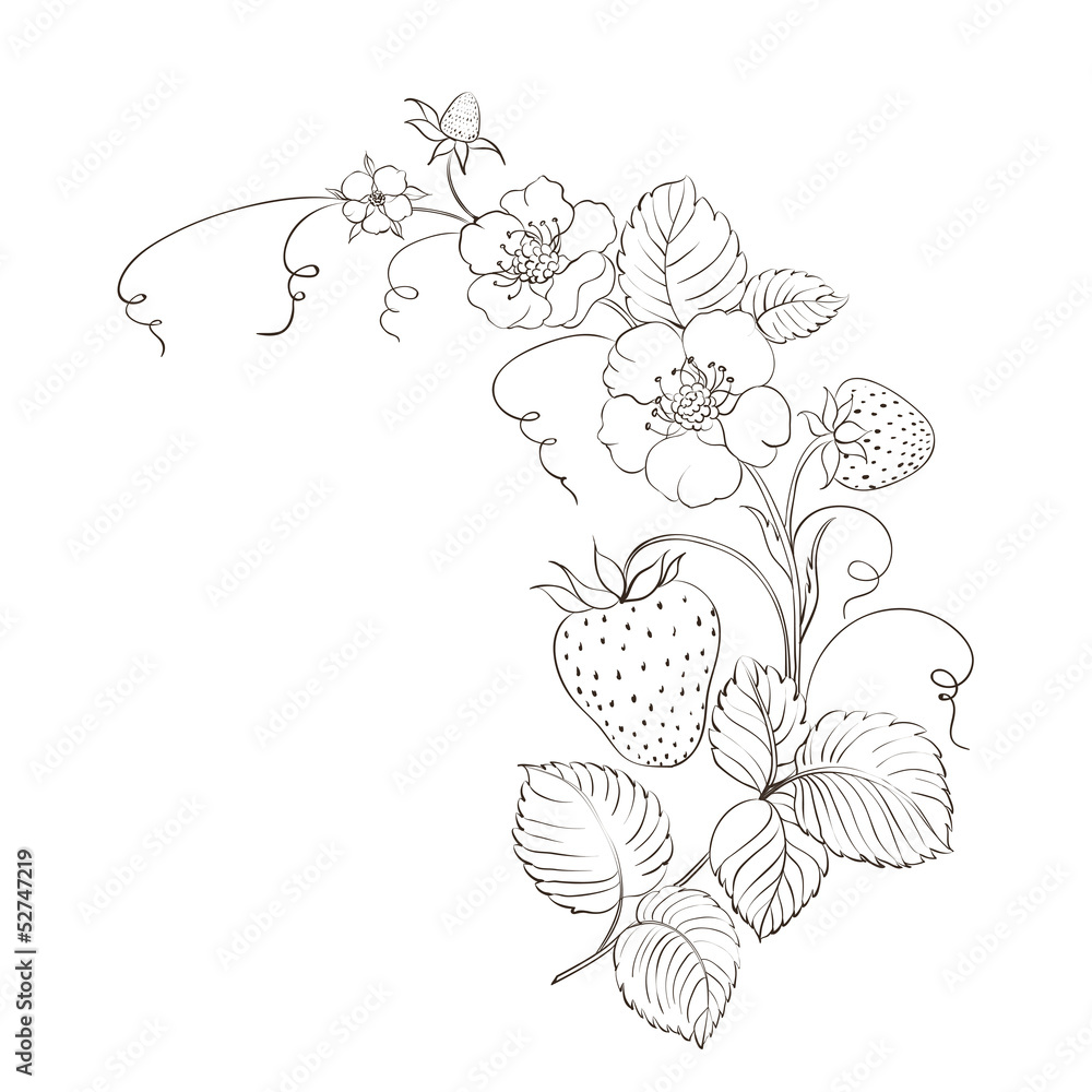 Strawberries isolated. Strawberries isolated.