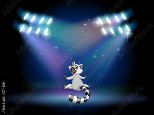 A lemur in the middle of the stage