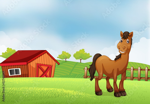 A horse at the farm