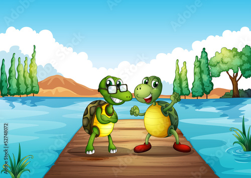 Two turtles standing at the diving board