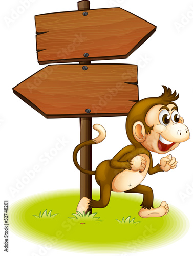 A monkey running beside the empty arrowboards