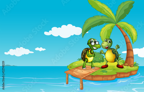 An island with two turtles