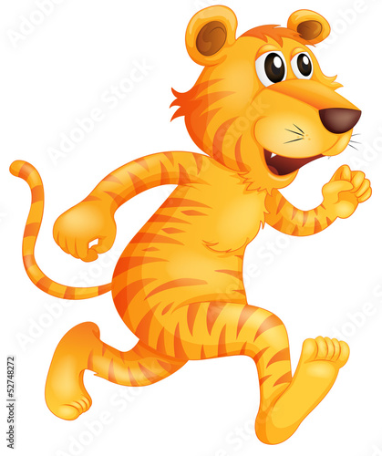 A young tiger running