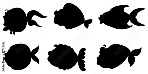 Black images of the different sea creatures