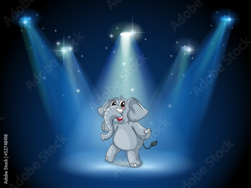 An elephant dancing in the middle of the stage