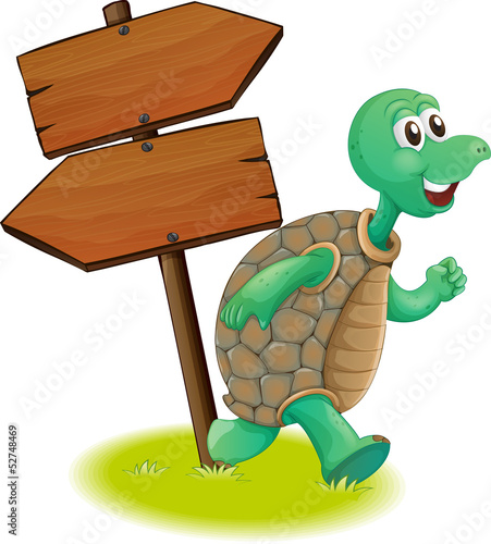 A turtle beside the wooden arrowboards