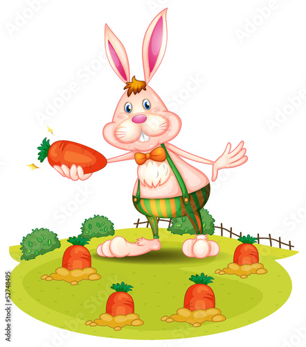 A rabbit at the farm with carrots