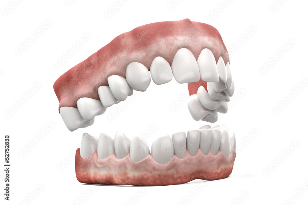 Obraz premium Jaw with teeth