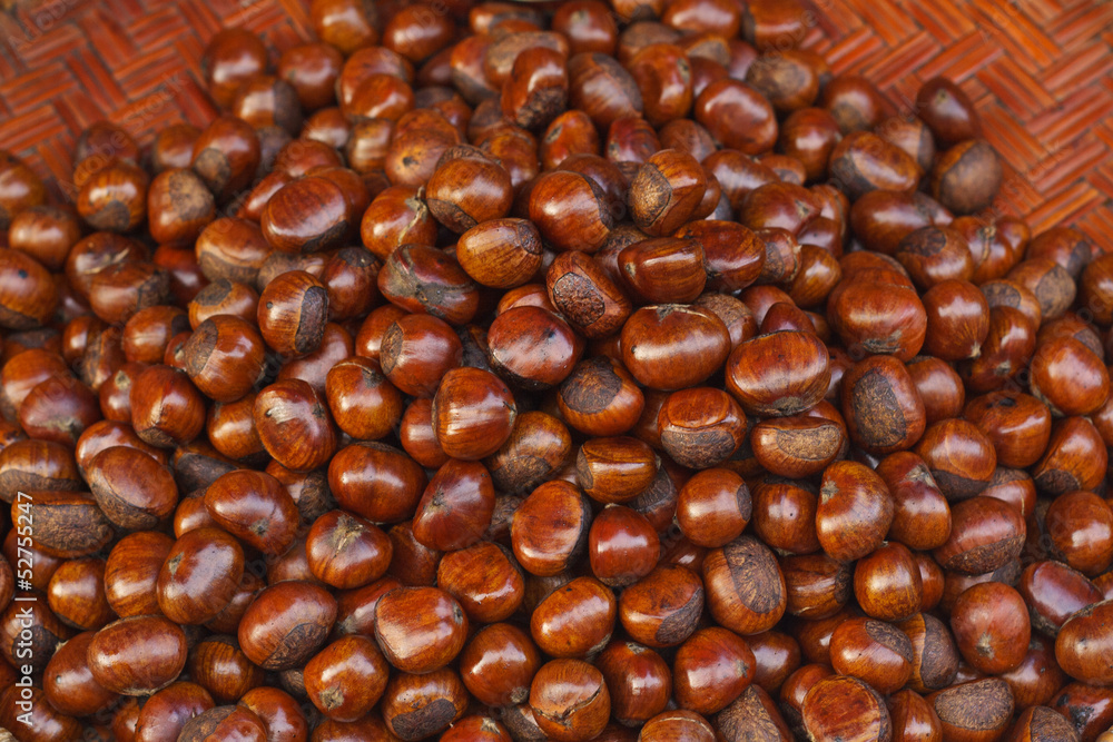 Chinese chestnut. Chinese chestnut.