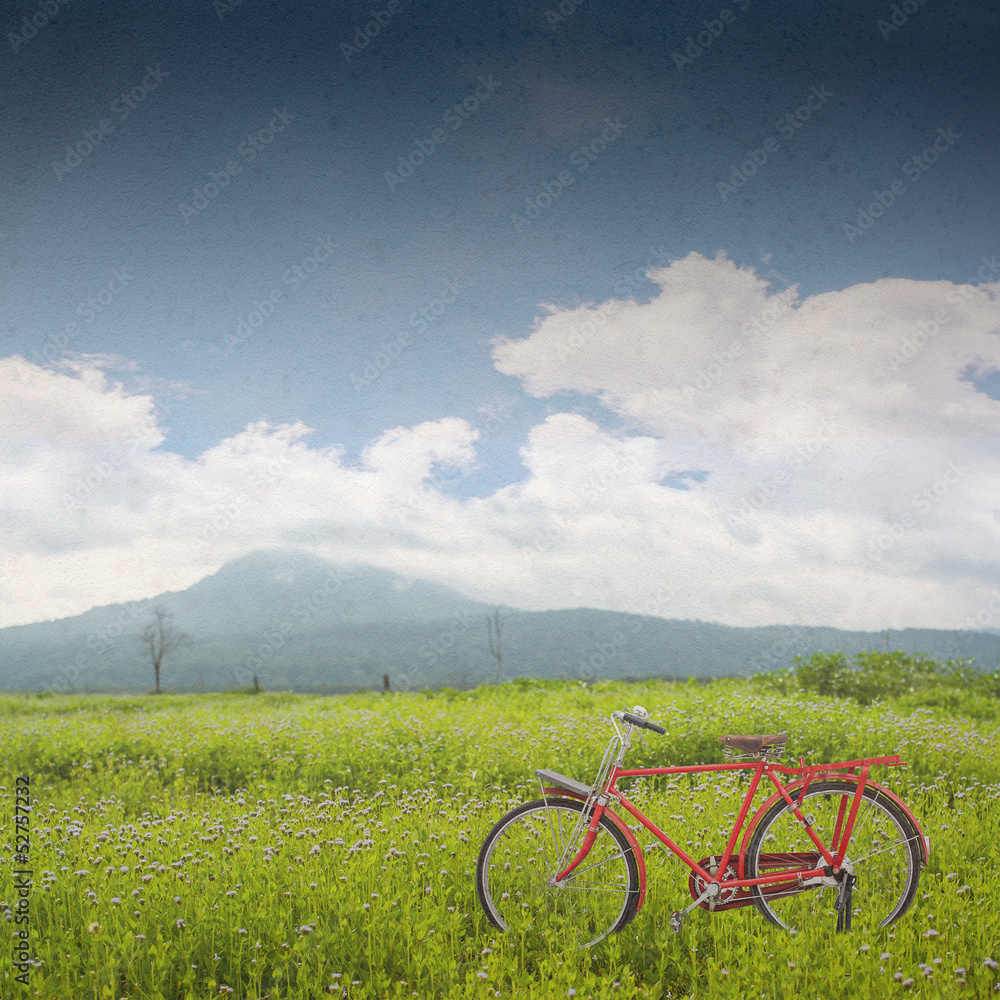 Obraz premium red bicycle