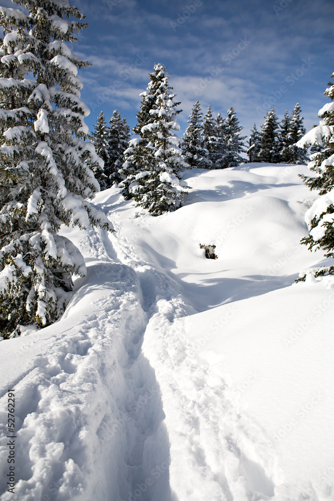 Schneeberg Schneeberg