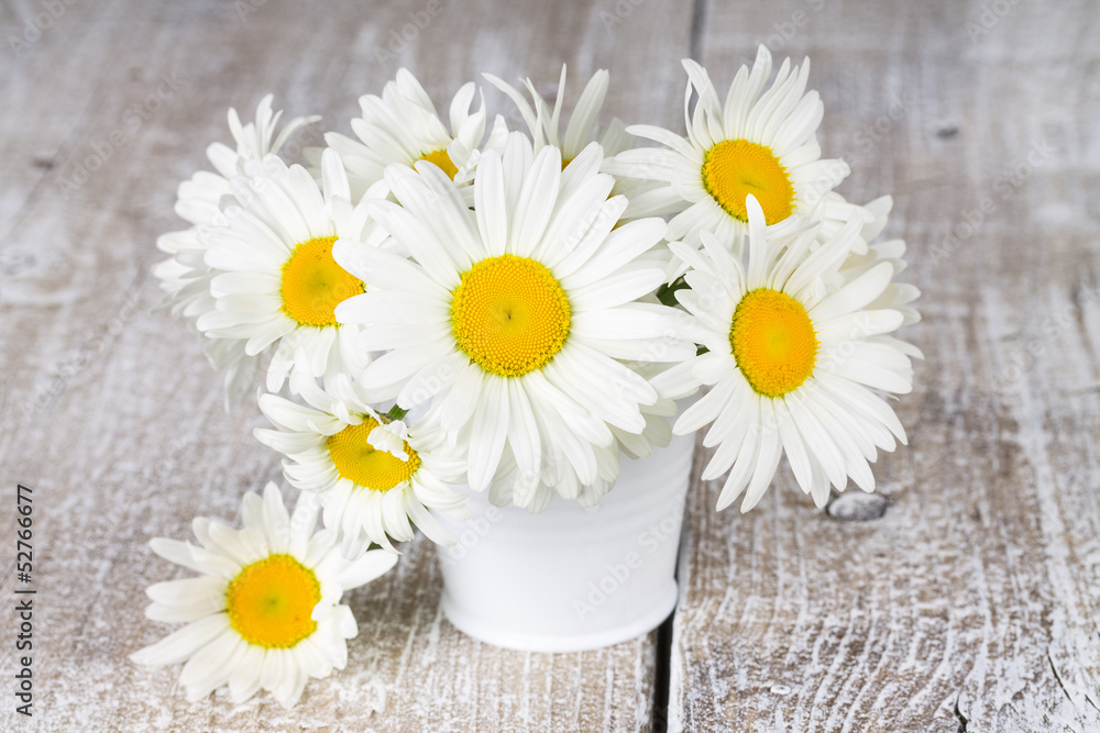 Fototapeta premium Blooming chamomile flowers in a bucket
